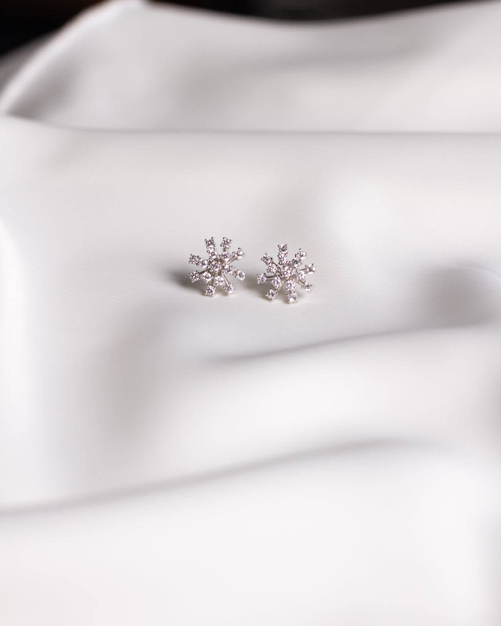 Earrings Silver