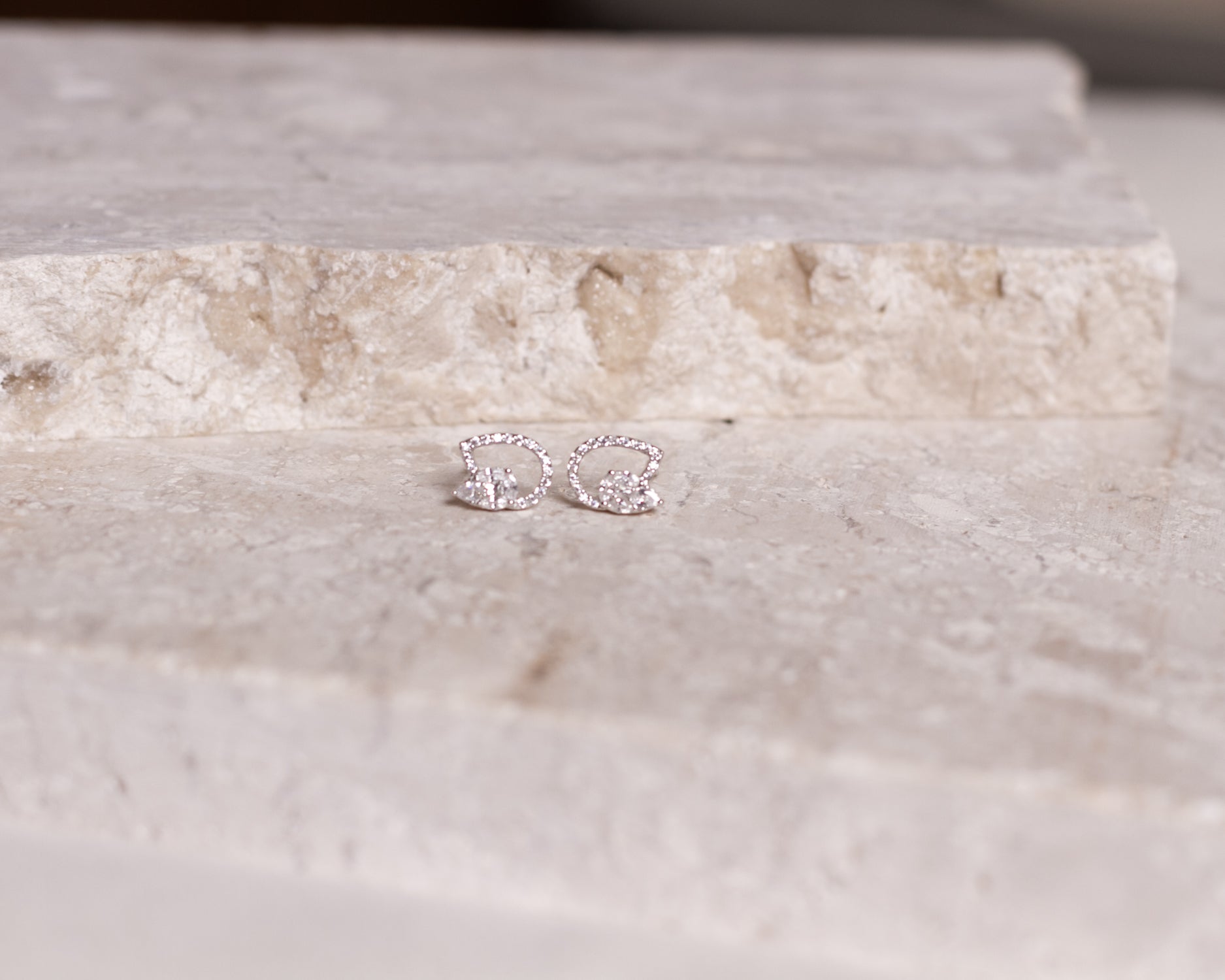 Earrings Silver