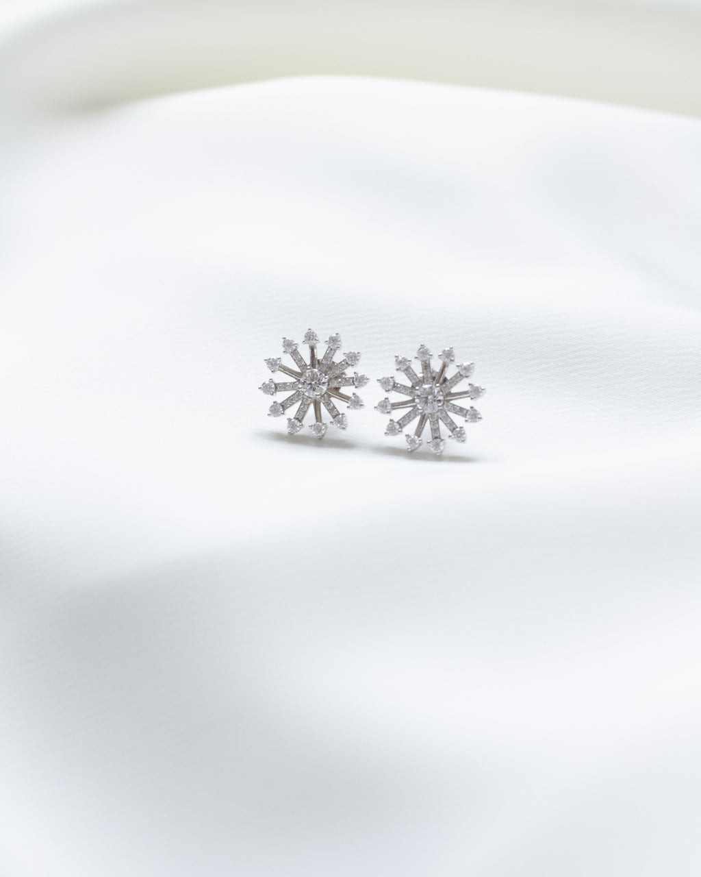 Earrings Silver