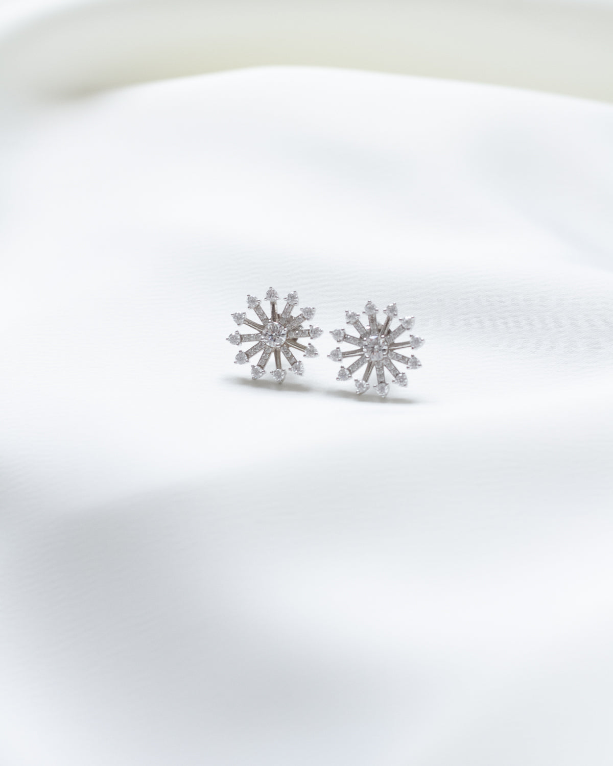 Earrings Silver