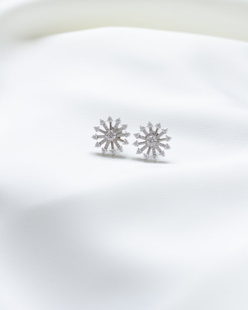 Earrings Silver