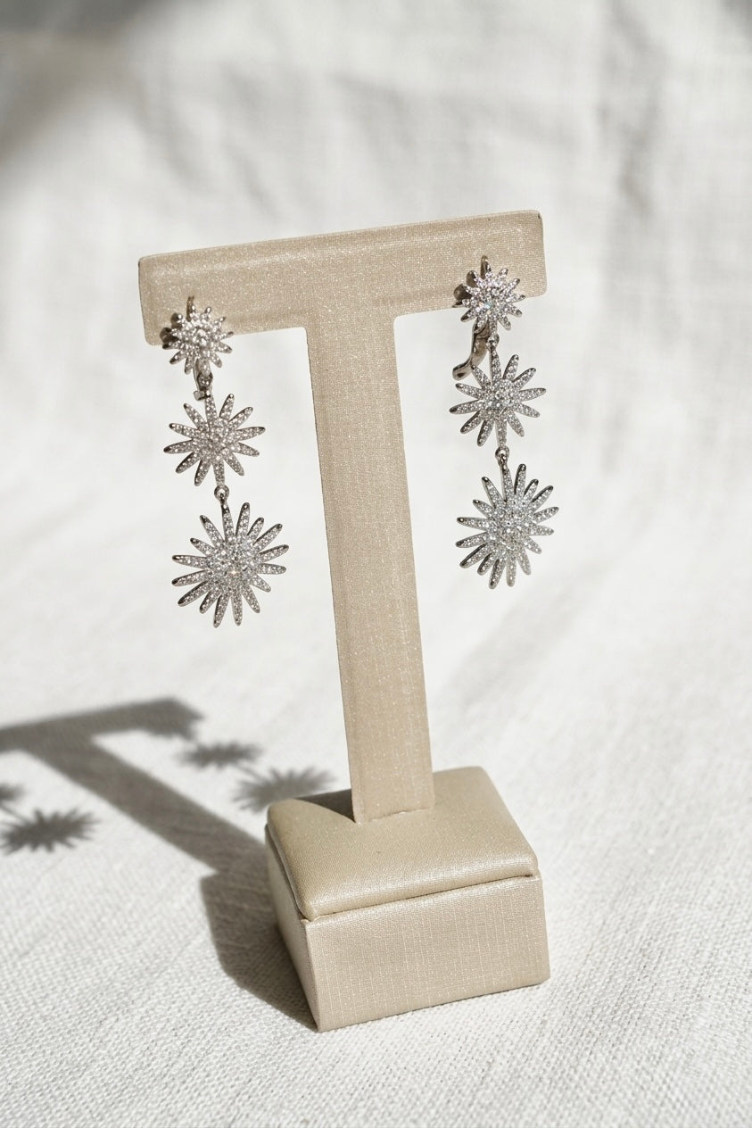 Earring Silver 925