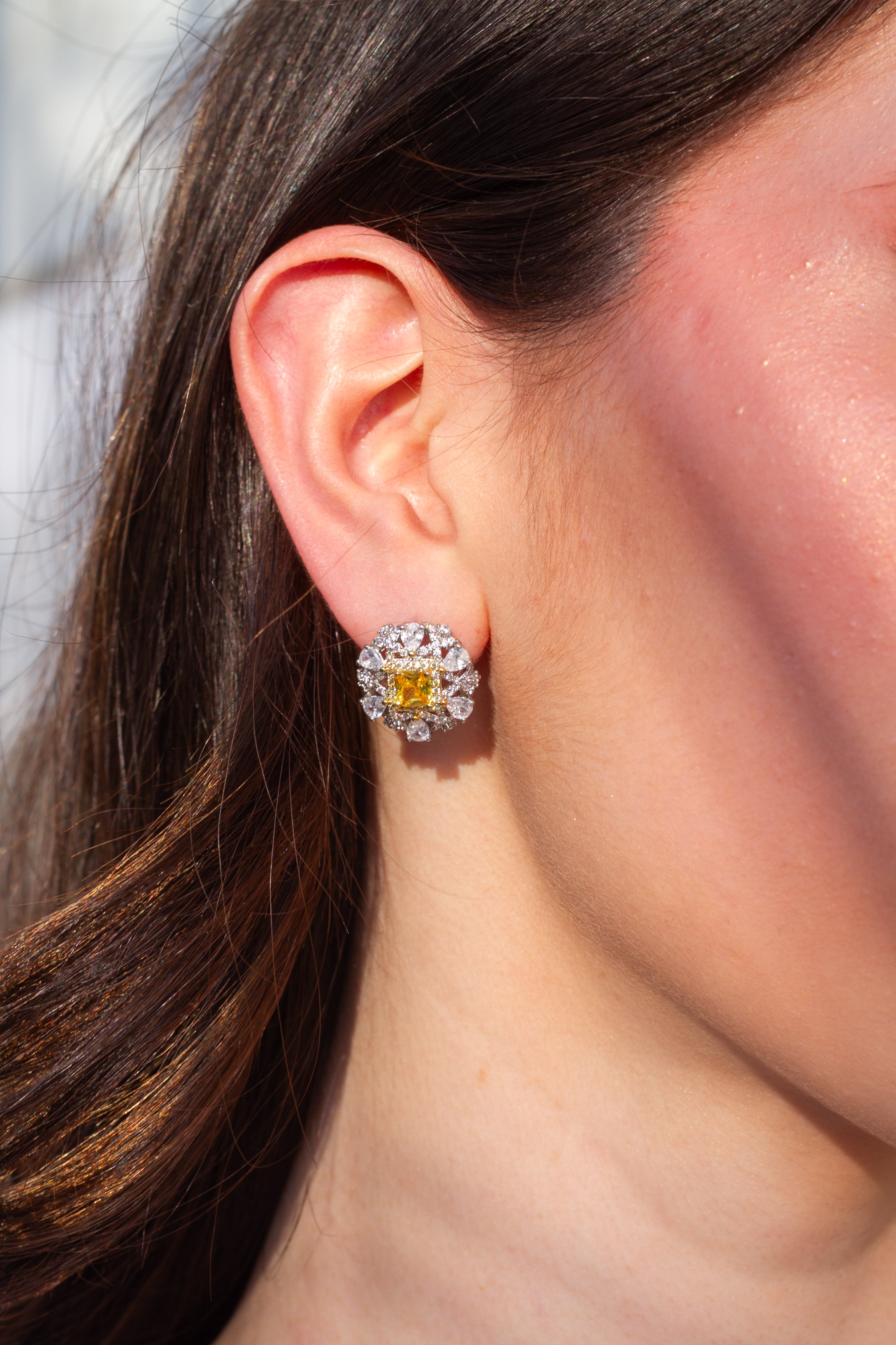 Earrings Silver Moissanita