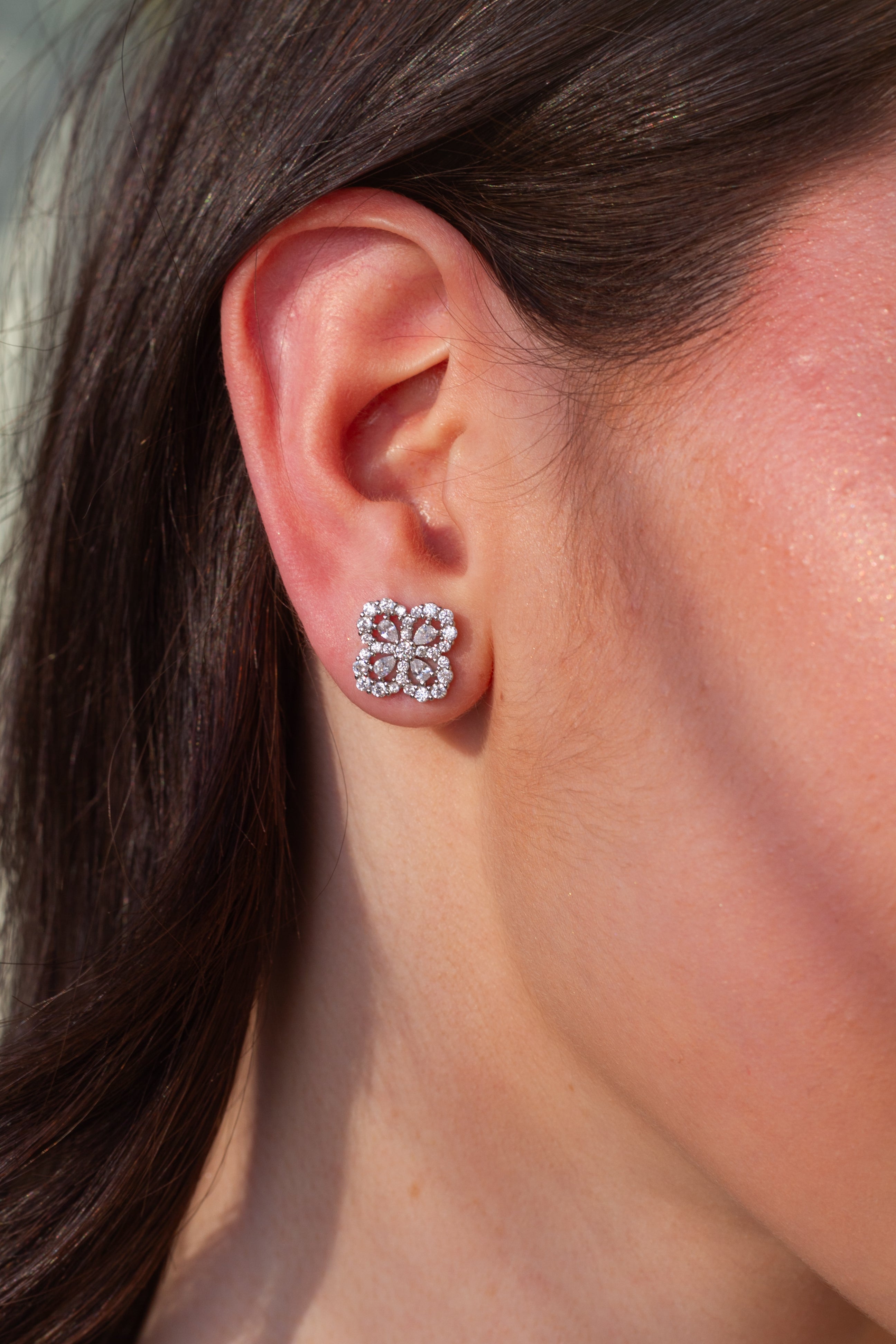Earrings Silver