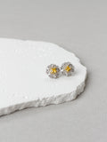Earrings Silver Moissanita