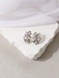 Earrings Silver