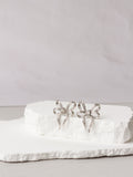 Earrings Silver